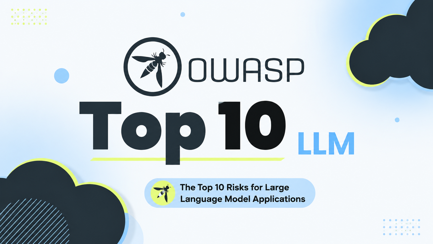 the OWASP LLM Top 10